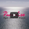Новый промо-ролик площадки Paradise